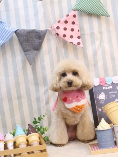 20250521サラちゃん